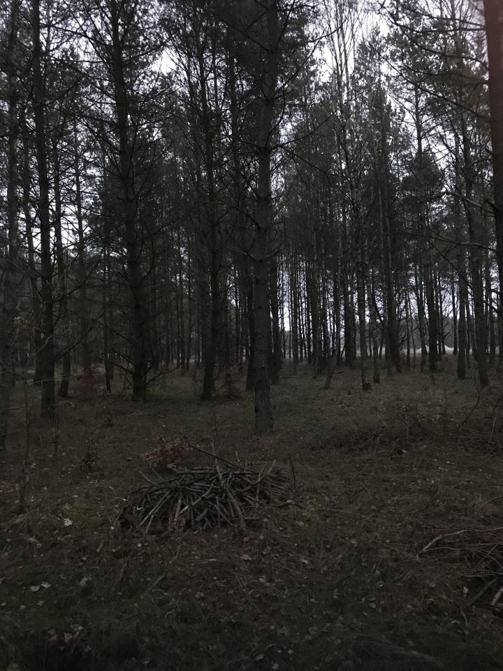 Działka budowlana Jerutki. Zdjęcie 2