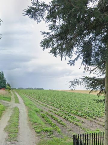 Działka budowlana Węgrzynowo. Zdjęcie 1