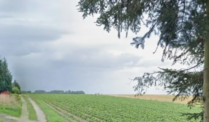 Działka budowlana Węgrzynowo