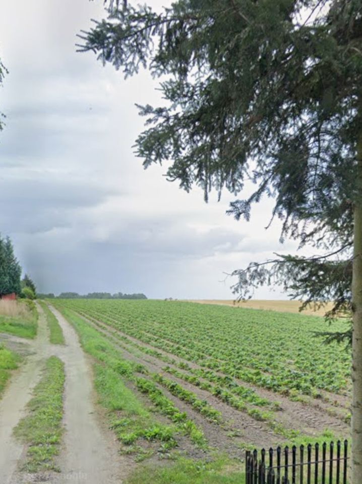 Działka budowlana Węgrzynowo