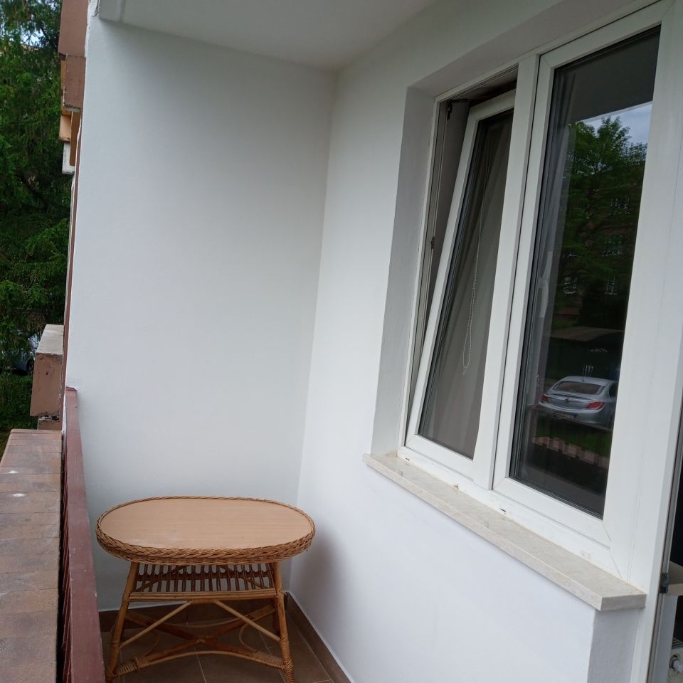 Mieszkanie 1-pokojowe Cieszyn Bobrek, ul. Alojzego Milaty. Zdjęcie 15