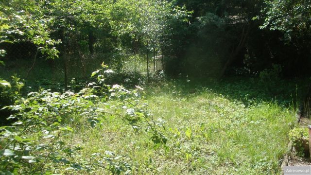 Działka rod Warszawa Mokotów, ul. Piaseczyńska. Zdjęcie 1