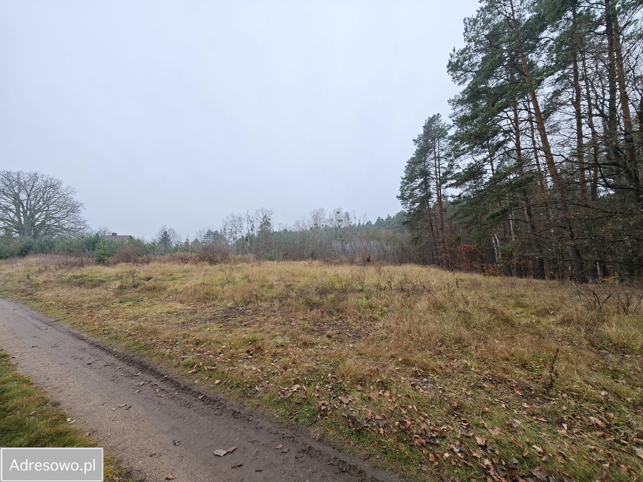 Działka budowlana Stare Osieczno