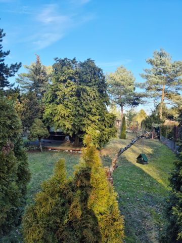 Działka rod Poznań Ławica, ul. Złotowska. Zdjęcie 1