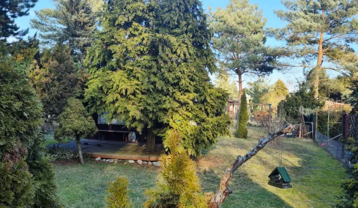 Działka rod Poznań Ławica, ul. Złotowska