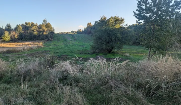 Działka inwestycyjna Bodzanów