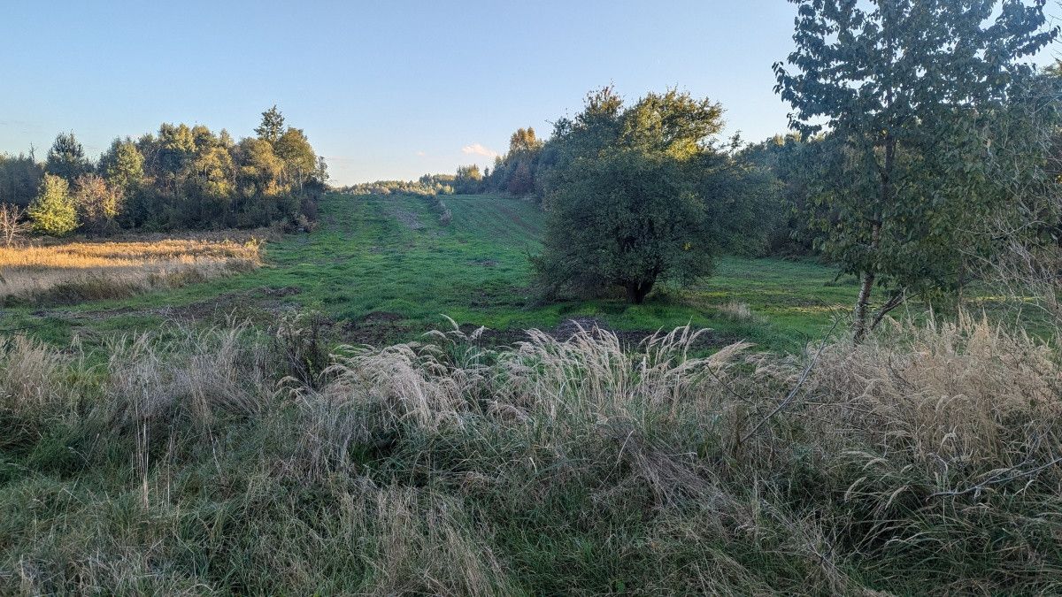 Działka inwestycyjna Bodzanów. Zdjęcie 1