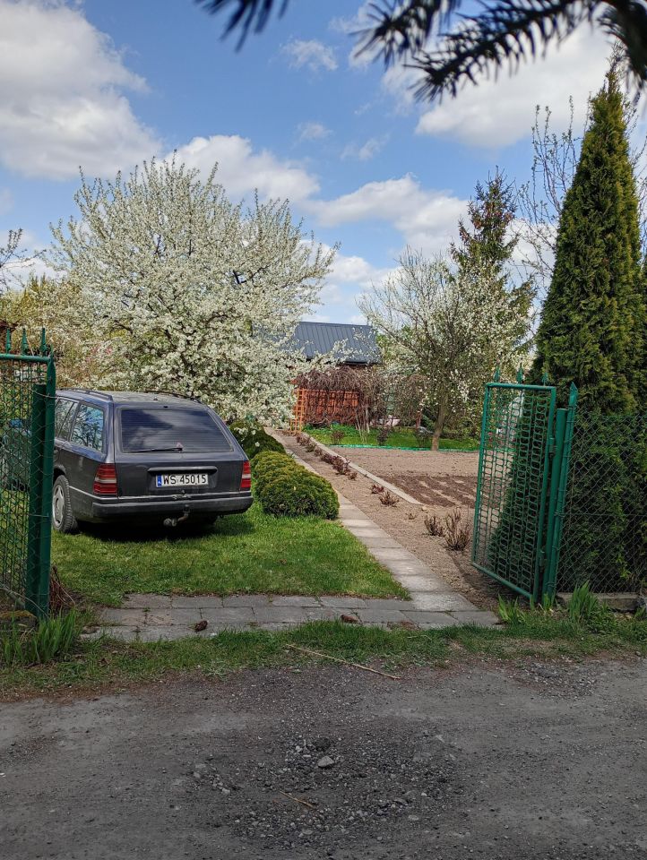 Działka rod Siedlce Centrum, ul. Tulipanowa. Zdjęcie 2
