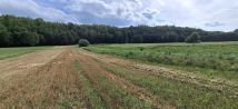 Działka rolno-budowlana Ułanowice. Zdjęcie 4