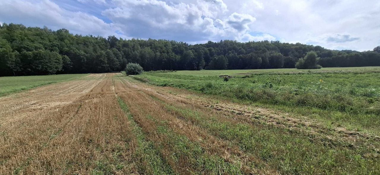 Działka rolno-budowlana Ułanowice. Zdjęcie 5