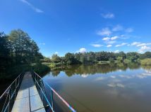 Działka leśna Rochna. Zdjęcie 3