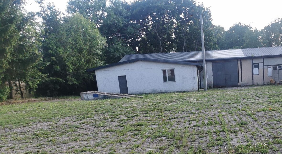 Hala/magazyn Szczytno, ul. Mikołaja Reja. Zdjęcie 13