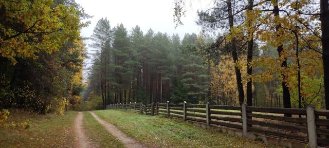 Działka budowlana Okuniowiec. Zdjęcie 1