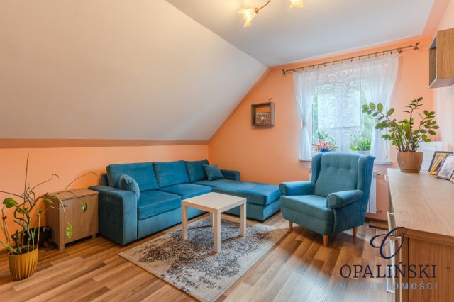 dom wolnostojący, 5 pokoi Kosina. Zdjęcie 20