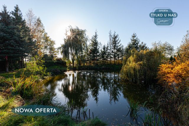 dom wolnostojący, 5 pokoi Kłoniszew. Zdjęcie 24