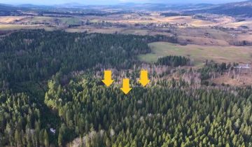 Działka rolna Czarna