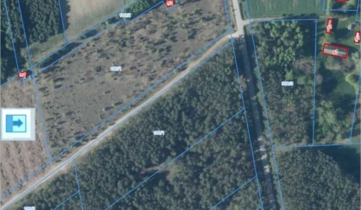 Działka leśna Minczewo