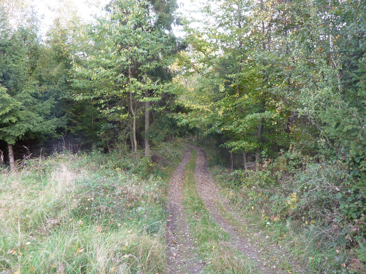 Działka rolna Pewel Wielka Garleje. Zdjęcie 8