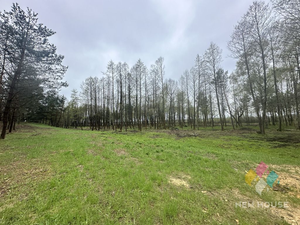 Działka budowlana Tałty. Zdjęcie 7