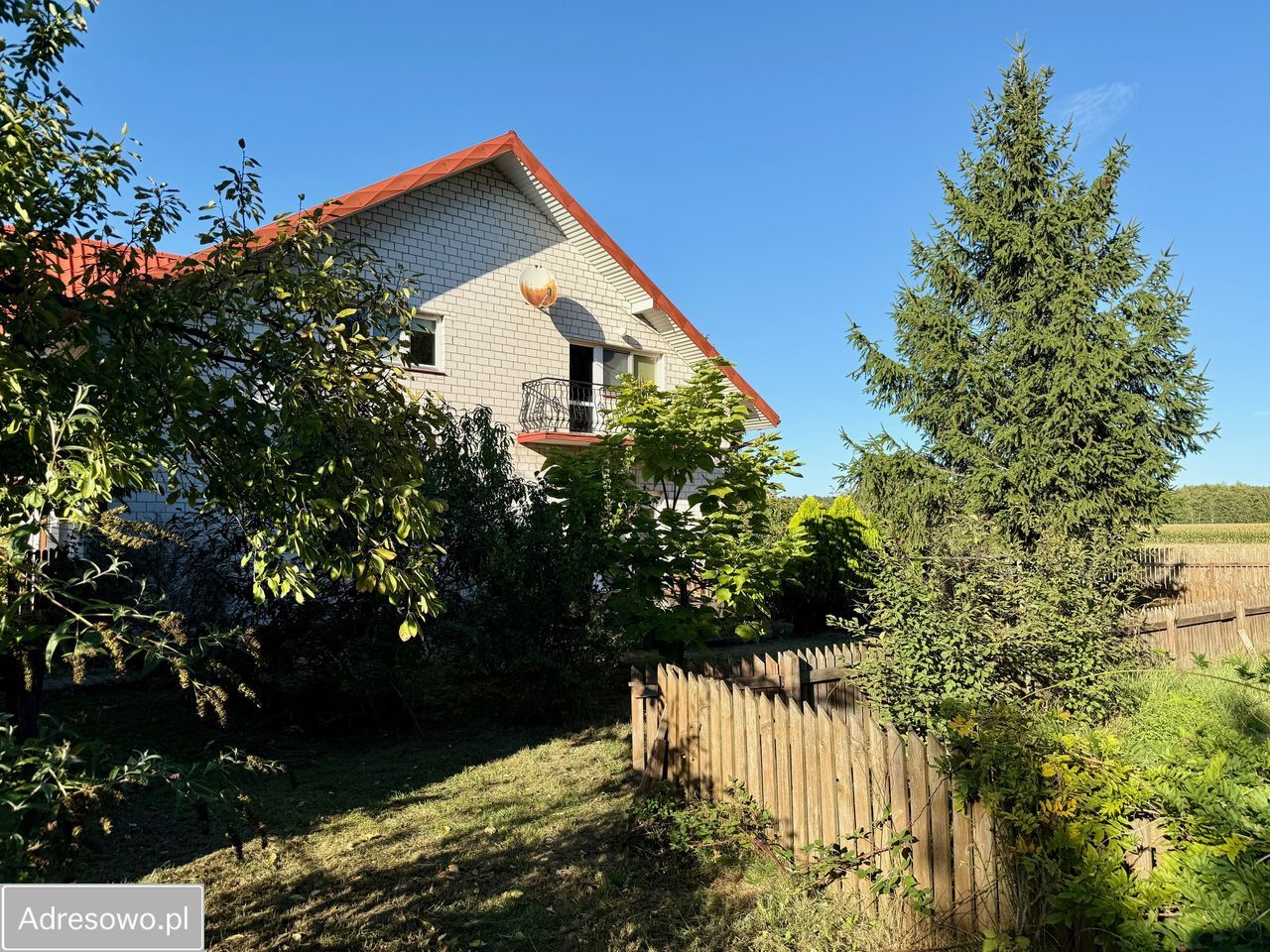 gospodarstwo Chojny. Zdjęcie 7