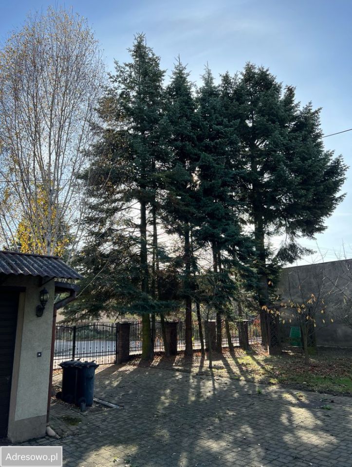 dom wolnostojący, 5 pokoi Wieluń, ul. Lipowa. Zdjęcie 6