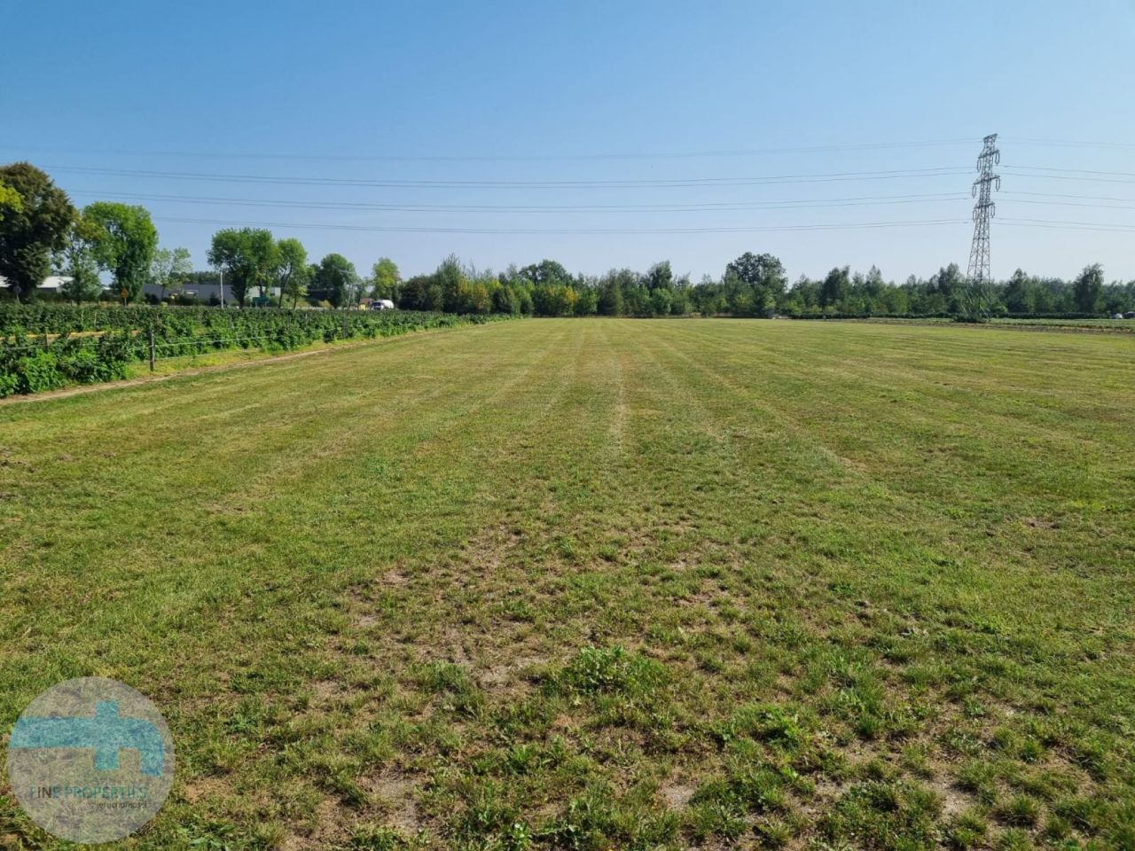 Działka inwestycyjna Dębe. Zdjęcie 3