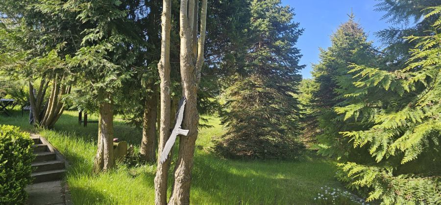 Działka rekreacyjna Kielno Bożanka, ul. Magnoliowa. Zdjęcie 19
