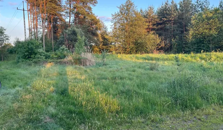 Działka rekreacyjna Zawiszyn