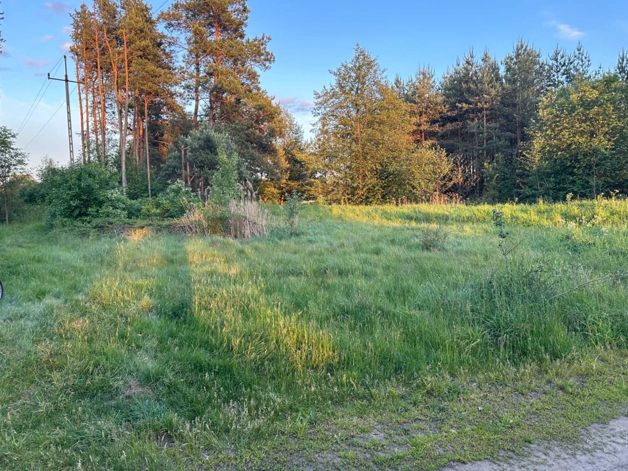 Działka rekreacyjna Zawiszyn. Zdjęcie 1