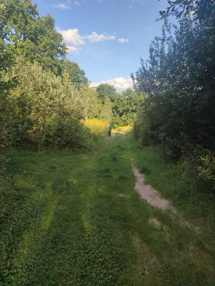 Działka siedliskowa Jaźwina Uliczno. Zdjęcie 4