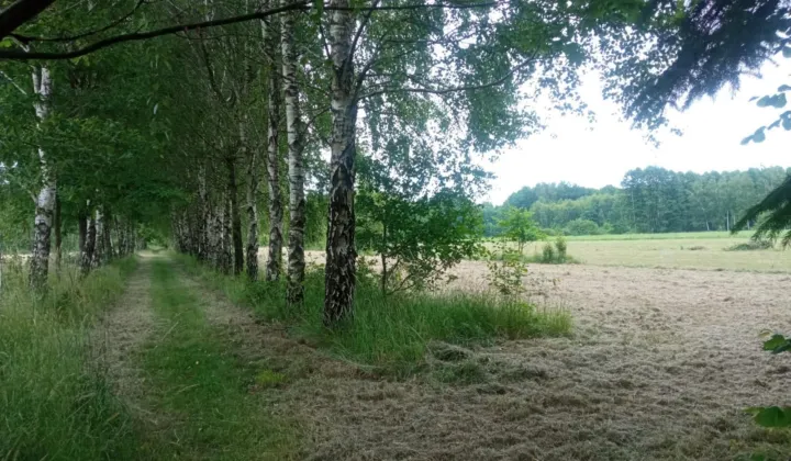 Działka budowlana Borki