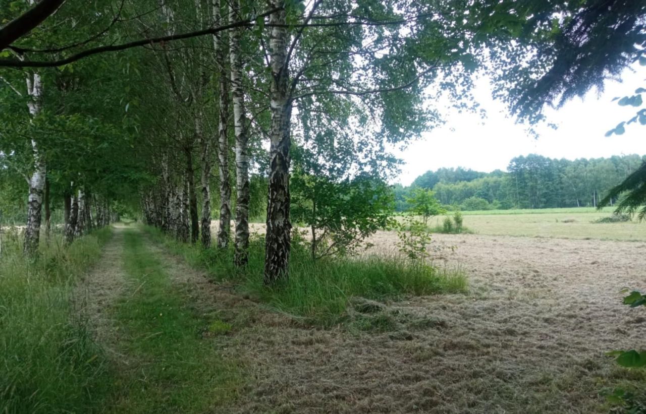 Działka budowlana Borki. Zdjęcie 1