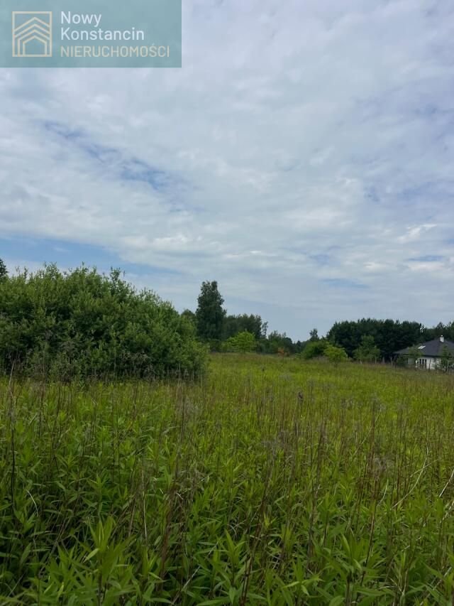 Działka budowlana Borowina. Zdjęcie 7