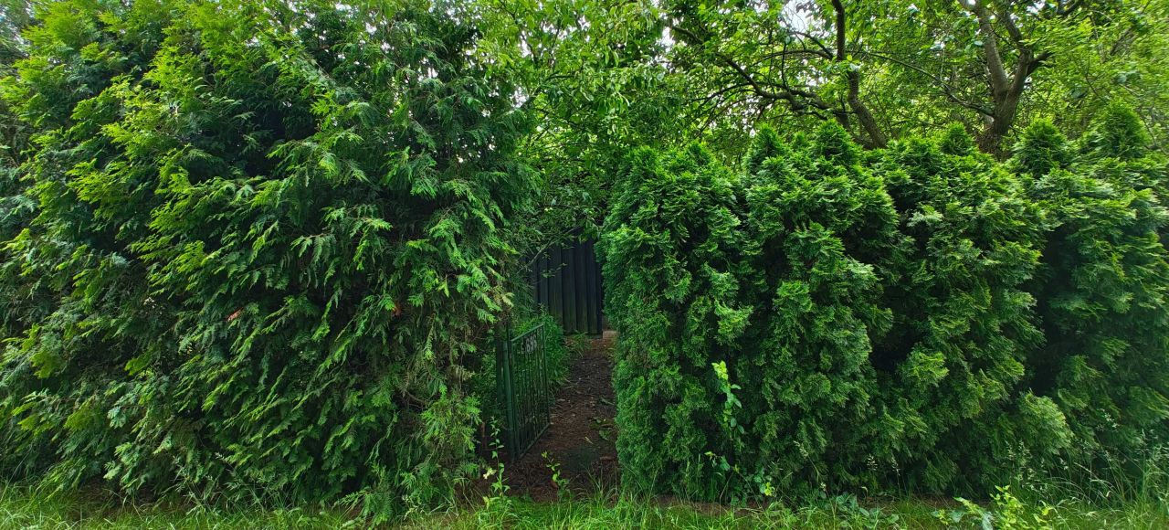 Działka rod Komorów. Zdjęcie 3