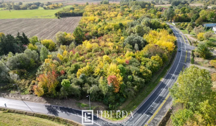 Działka inwestycyjna Sady