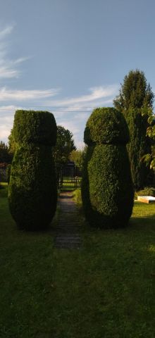 Działka rod Bytom. Zdjęcie 6