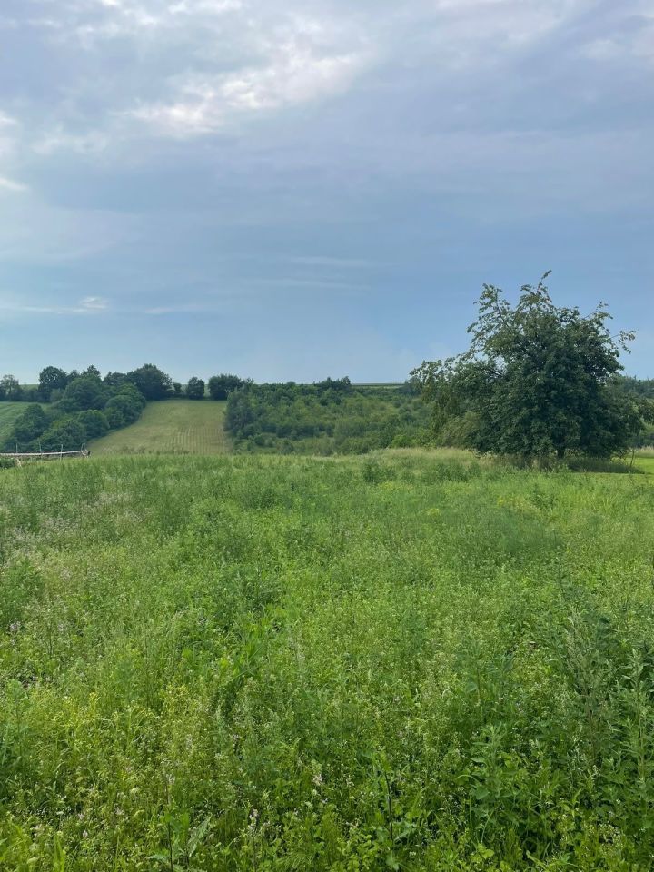 Działka rolno-budowlana Michałowice, ul. Warszawka. Zdjęcie 4