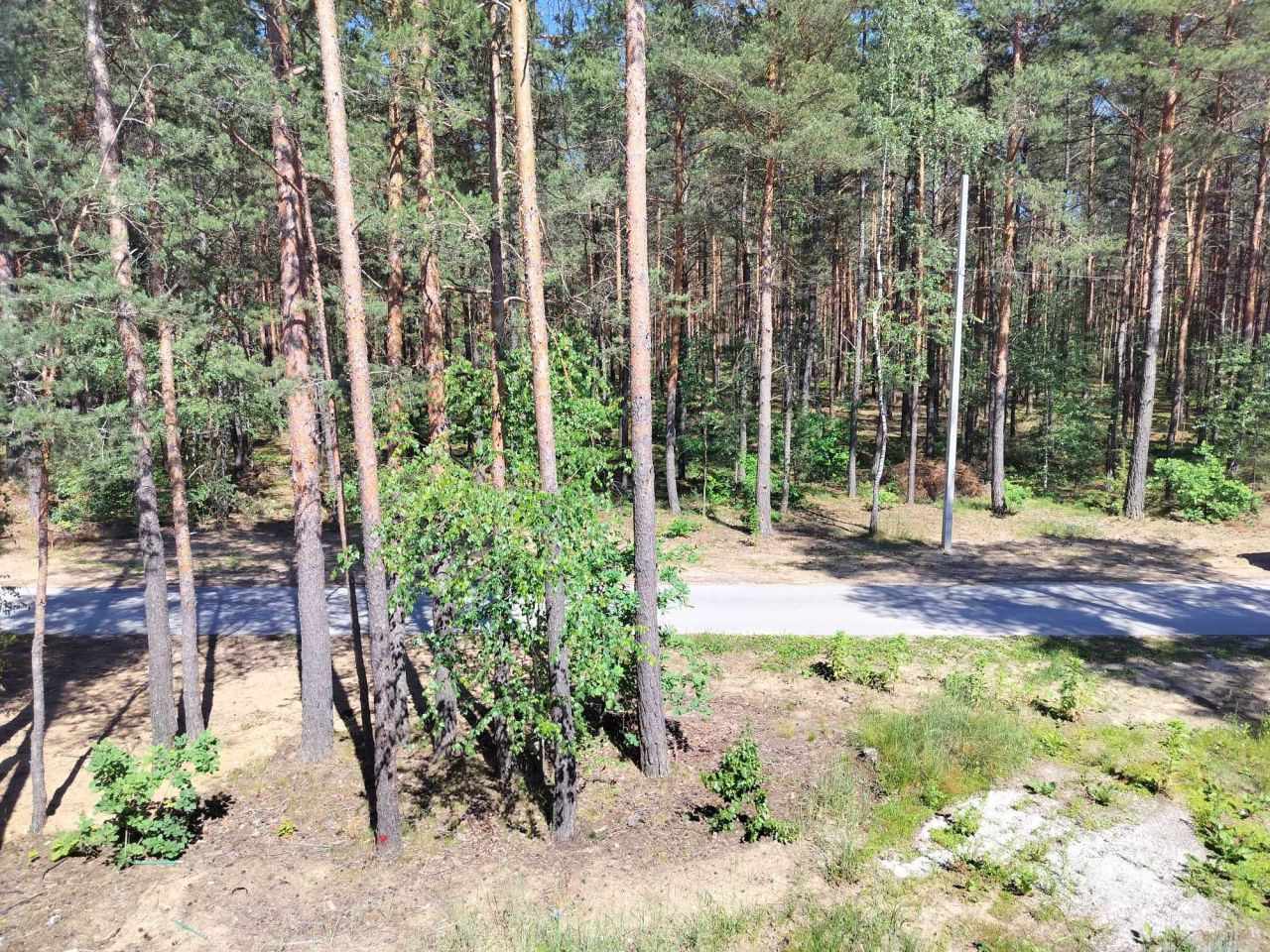 bliźniak Suków. Zdjęcie 4