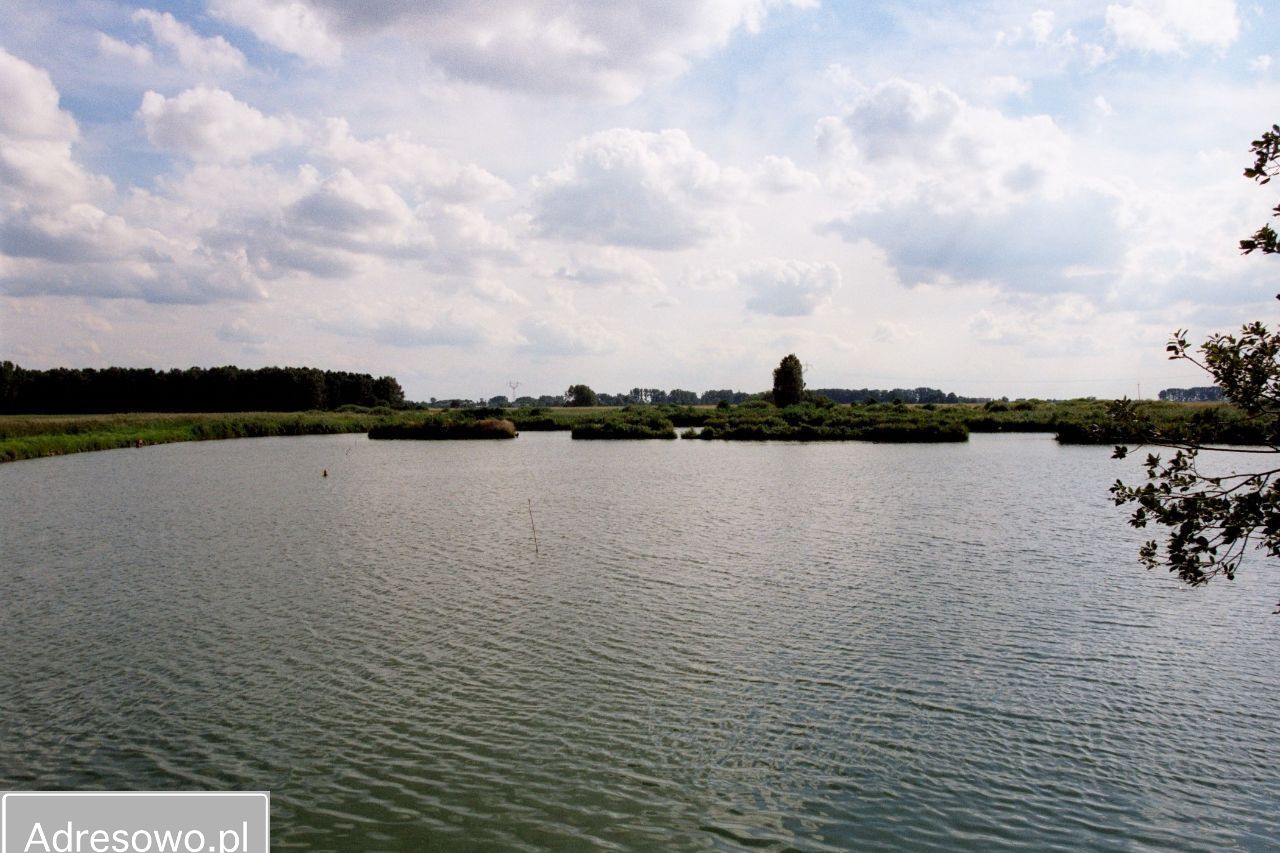 Działka rolna Dziedzice. Zdjęcie 3