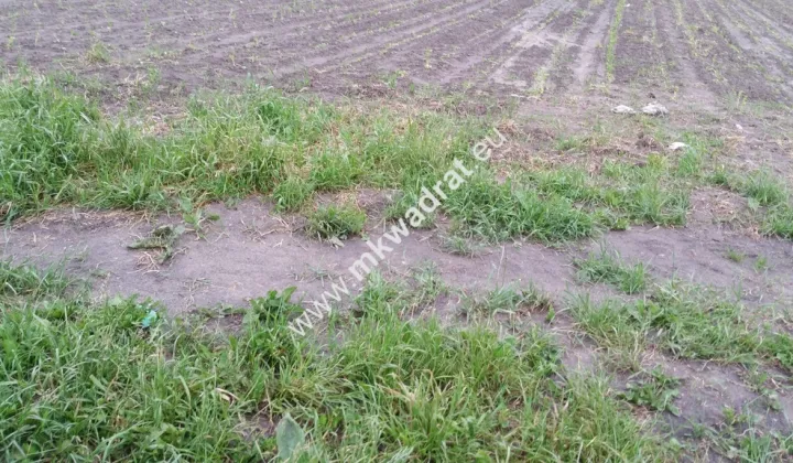 Działka budowlana Chrzanów Mały