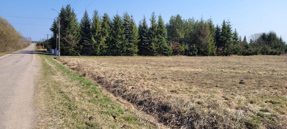 Działka rolna Śliwno. Zdjęcie 3