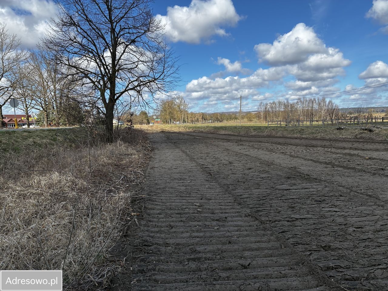 Działka budowlana Zielony Grąd. Zdjęcie 3
