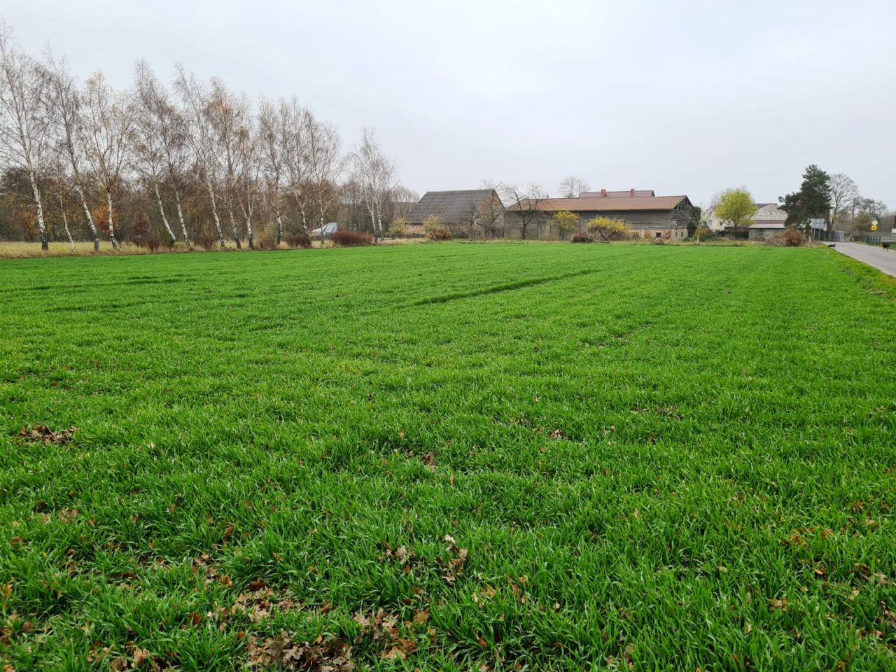 Działka rolna Trzebawie. Zdjęcie 4