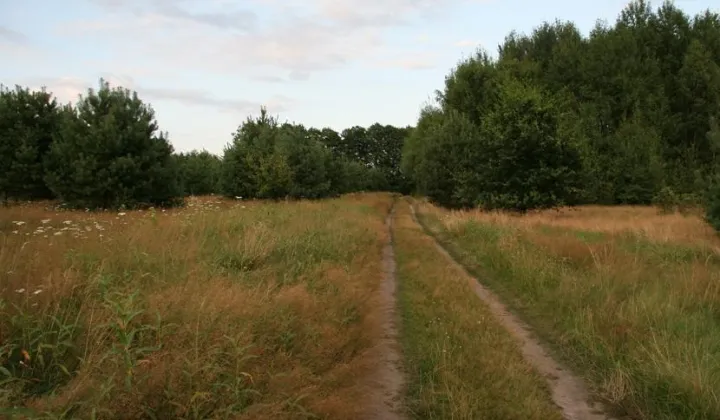 Działka rekreacyjna Ostroróg
