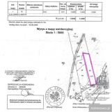 Działka leśna Boguszynek. Zdjęcie 3