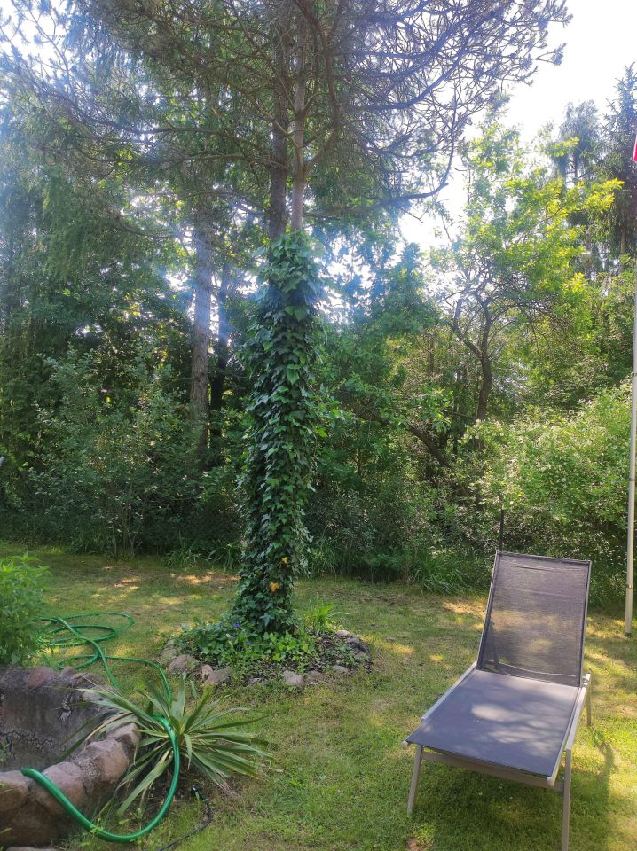 Działka rod Warszawa Praga-Południe, ul. Trakt Lubelski. Zdjęcie 5