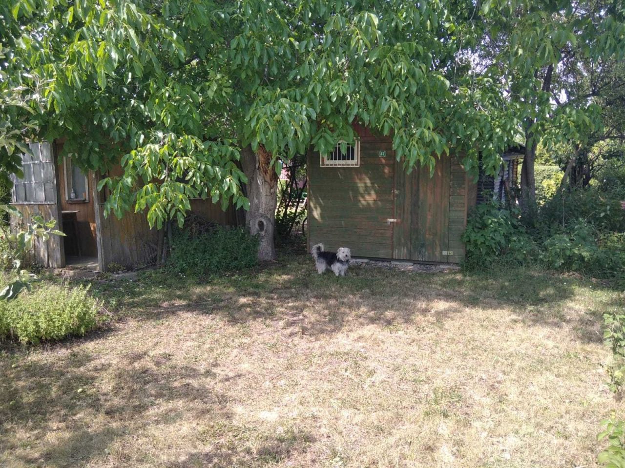 Działka rod Opole, ul. Luboszycka. Zdjęcie 2