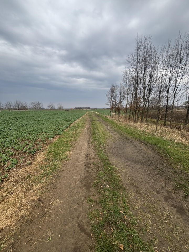 Działka rolna Koniaczów. Zdjęcie 9