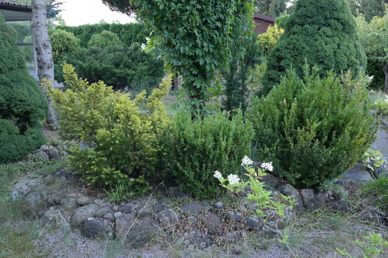 Działka rod Niewodnica Kościelna, ul. Działkowców. Zdjęcie 38