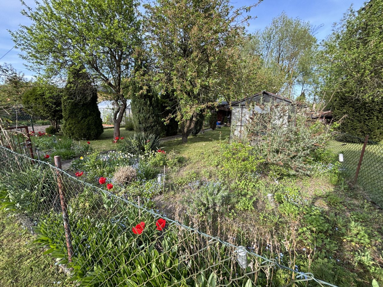 Działka rekreacyjna Pabianice Bugaj, ul. Bugaj